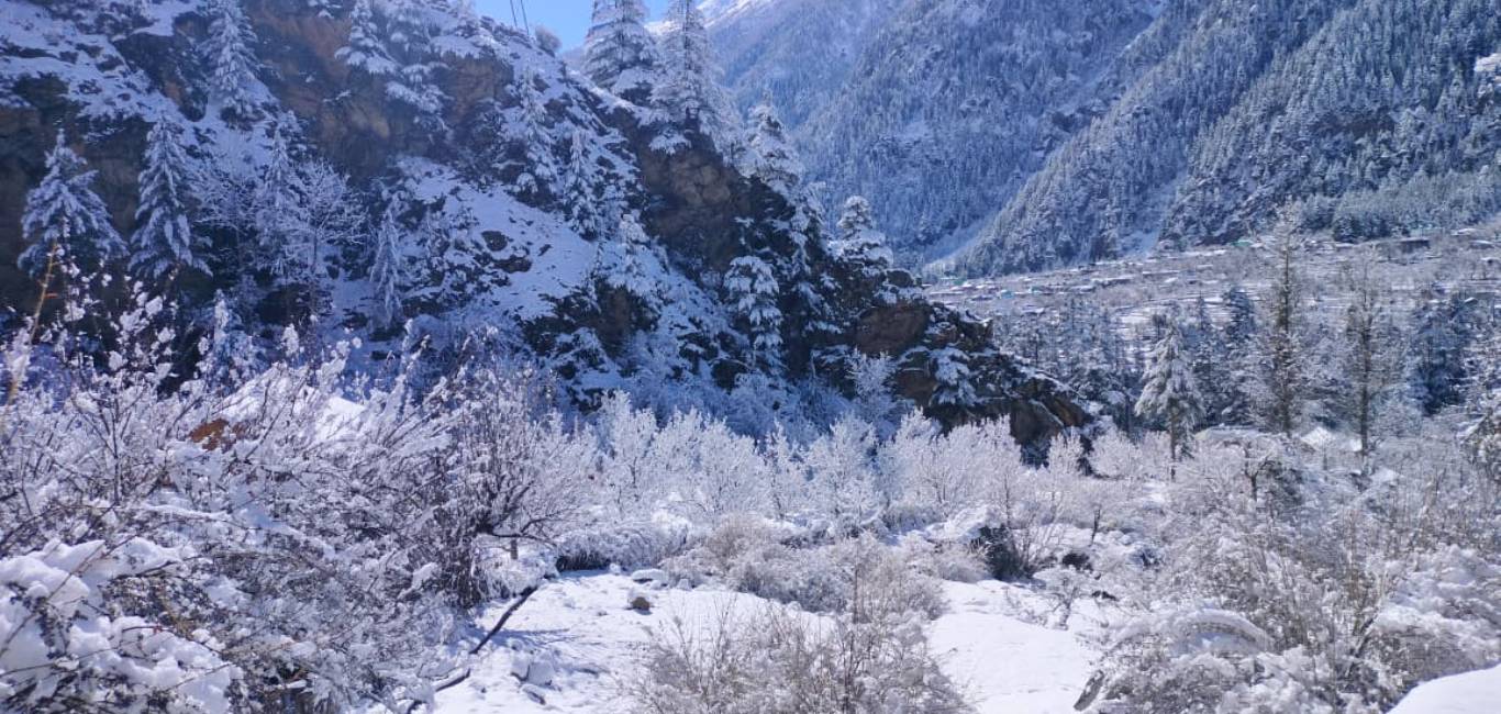 hotels in sangla Valley