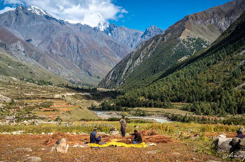 Drive to Chitkul Village