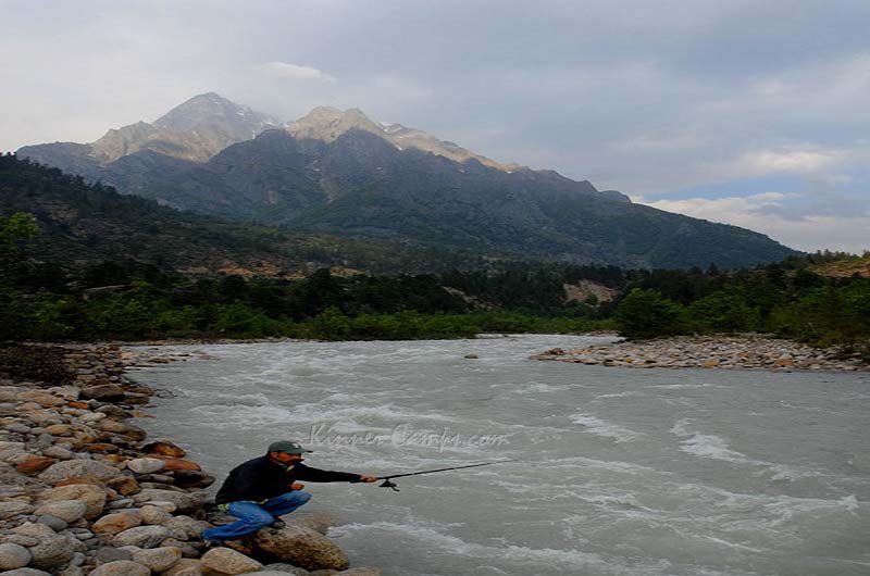 Fishing / Angling in Sangla