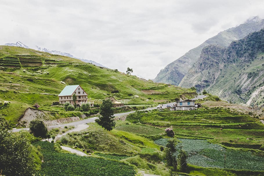 tour package of spiti valley