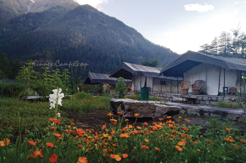 sangla tour packages